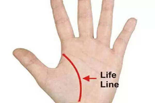 हस्तरेखा: जानें आपके हाथ की रेखाएं और किस्मत का राज़