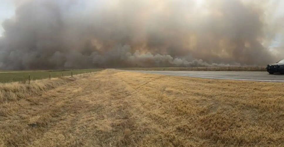 थॉर्नटन में तेज़ी से फैलती घास की आग ने किया बड़ा नुकसान