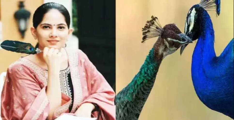 जया किशोरी का विवादास्पद दावा: मोरनी गर्भवती होती है मोर के आंसुओं से?