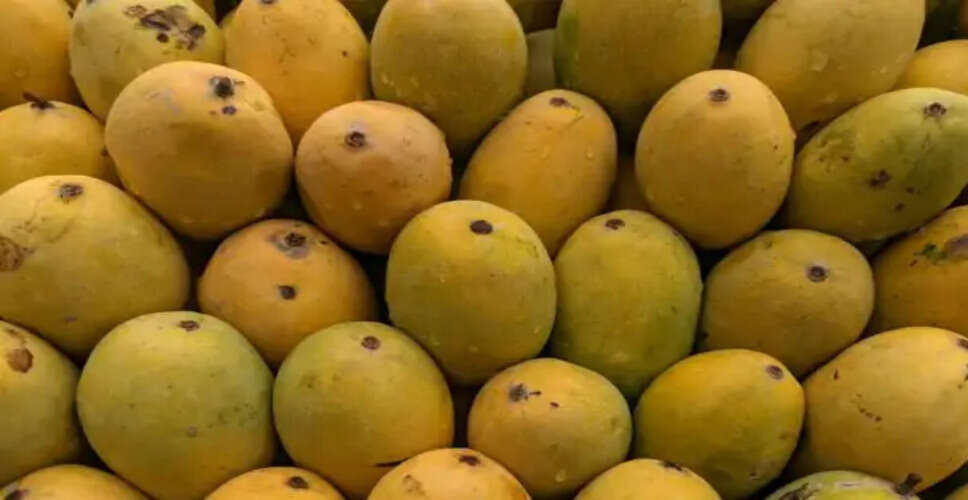 कैसे पहचानें केमिकल से पकाए गए आम और प्राकृतिक आम में अंतर