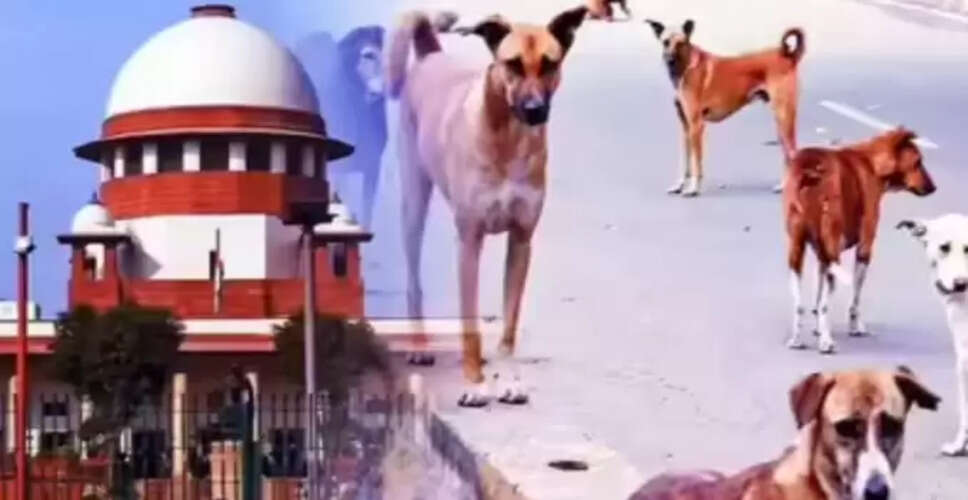 सुप्रीम कोर्ट का आवारा कुत्तों पर ऐतिहासिक फैसला: नया आदेश लागू