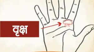 हाथों में भाग्य के संकेत: जानें कौन से चिन्ह लाते हैं सुख और समृद्धि