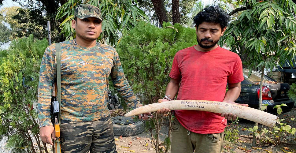ओडिशा में हाथी के दांतों की तस्करी का मामला, एक व्यक्ति गिरफ्तार