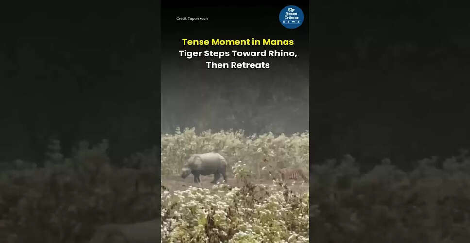 नई तस्वीरें: वीडियो थंबनेल का अनावरण