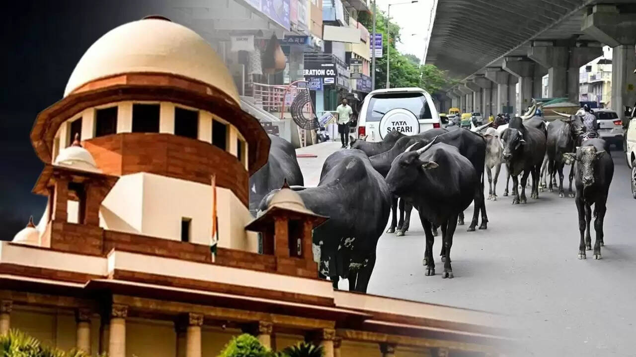 सुप्रीम कोर्ट का आदेश: हाइवे और एक्सप्रेस-वे पर आवारा पशुओं की रोकथाम