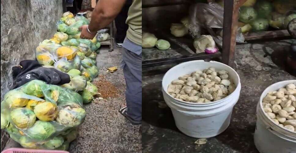पंजाब में मोमोज फैक्ट्री में मिली सड़ी सब्जियां और कीड़े, प्रशासन ने की कार्रवाई