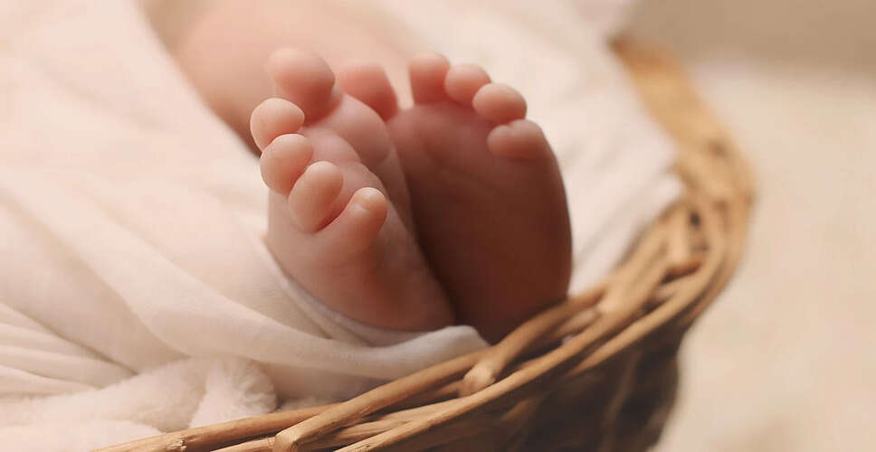 इंदौर अस्पताल में चूहों के हमले से नवजातों की मौत पर NHRC का नोटिस