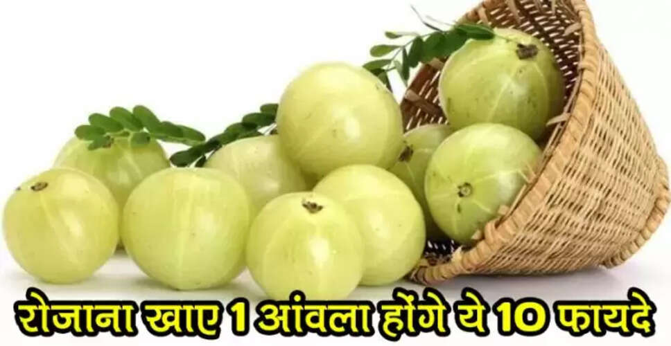 आंवले के स्वास्थ्य लाभ: जानें कैसे करें इसका सेवन