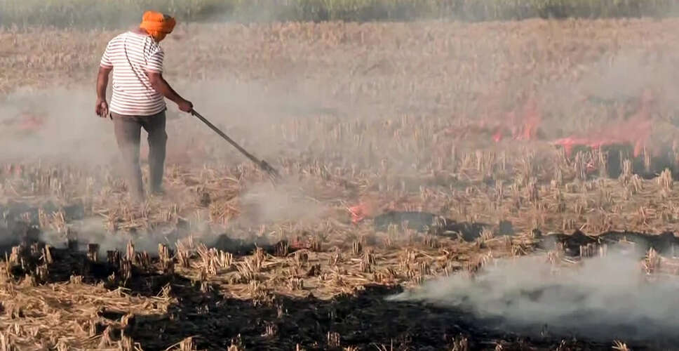 पंजाब में पराली जलाने की घटनाओं में वृद्धि, दिल्ली की वायु गुणवत्ता पर असर