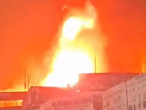नोएडा की फर्नीचर मार्केट में भीषण आग, करोड़ों का नुकसान