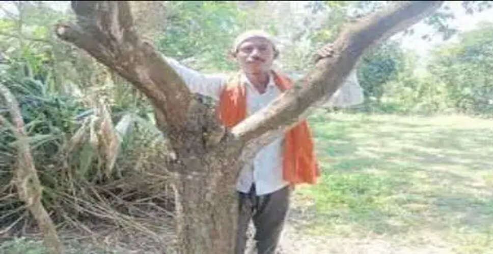 बिहार में सफेद चंदन की खेती: करोड़पति बनने का सुनहरा मौका