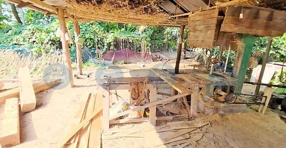 बोको में अवैध लकड़ी कटाई की बढ़ती गतिविधियाँ