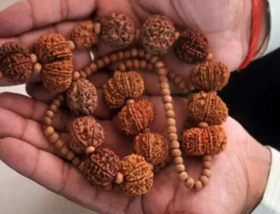 सावन में रुद्राक्ष धारण करने के नियम और महत्व