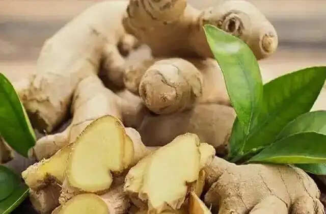 बारिश के मौसम में गले के दर्द से राहत पाने के घरेलू उपाय