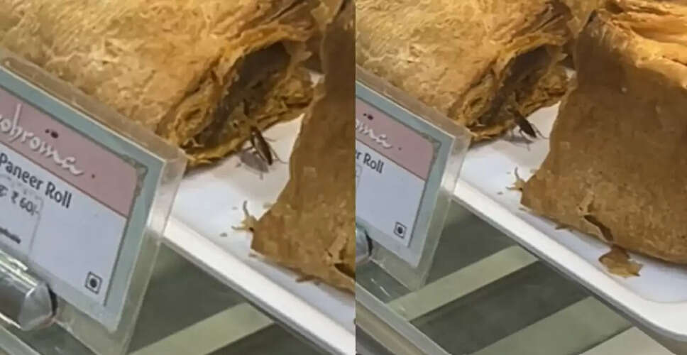 Cockroach Sighting at Theobroma Sparks Outrage Among Diners
