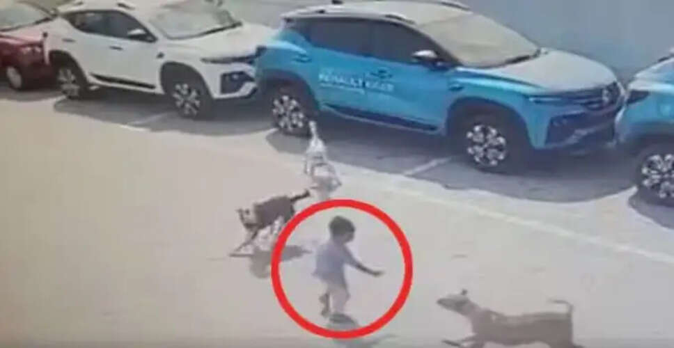 बीकानेर में स्ट्रीट डॉग्स के हमले से बच्चे की मौत, परिवार में शोक की लहर