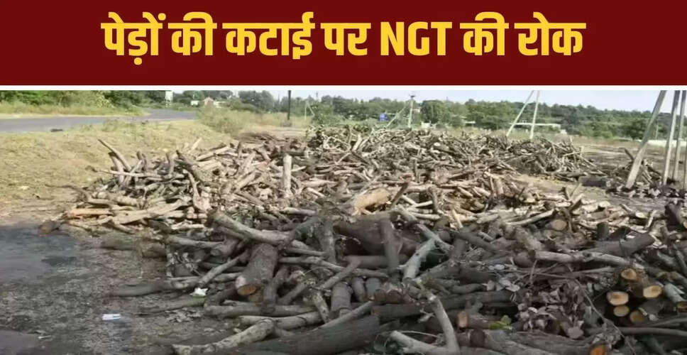 भोपाल में अयोध्या बायपास पर पेड़ों की कटाई पर NGT की रोक
