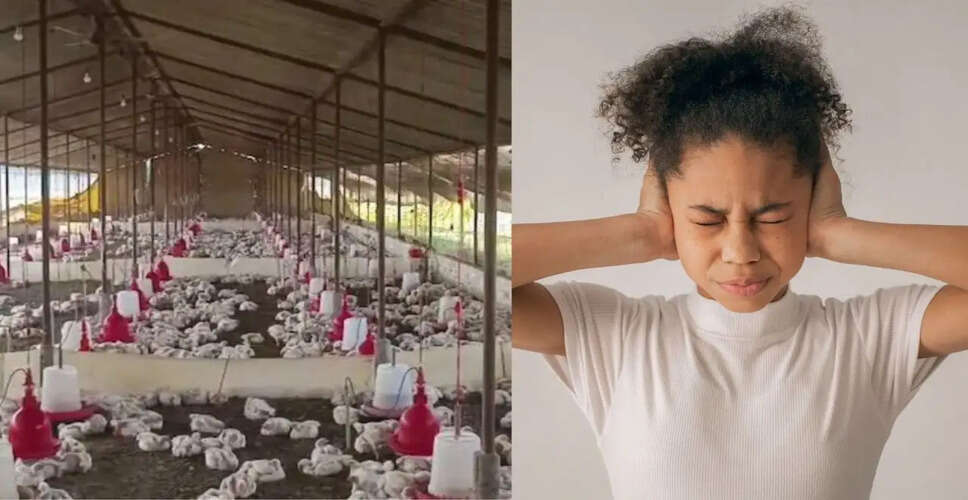 तेज डीजे की आवाज से मुर्गियों की मौत: स्वास्थ्य पर प्रभाव