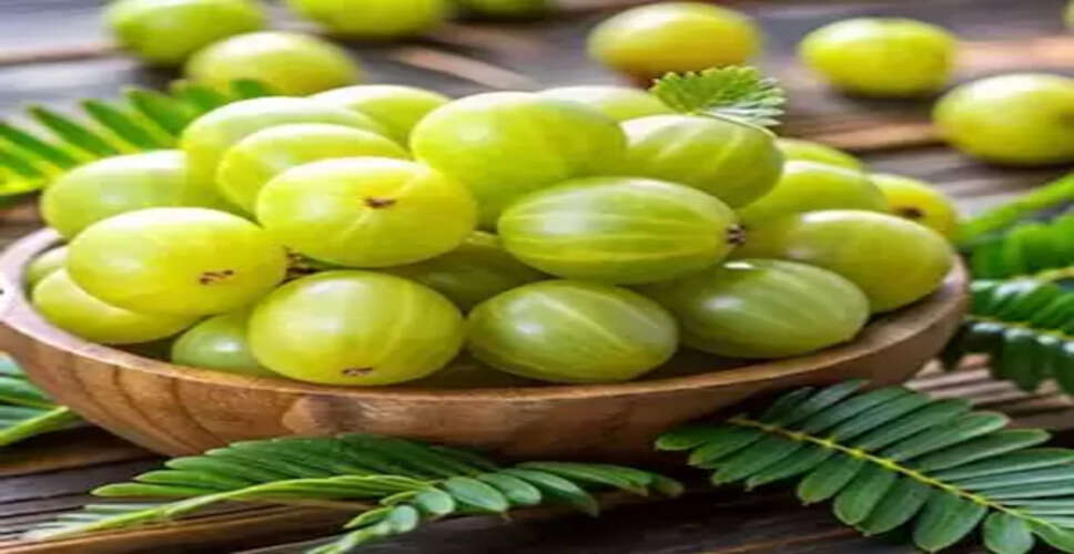आंवले में छुपा है गुणों का खजाना, सेहत के लिए है बेहद फायदेमंद