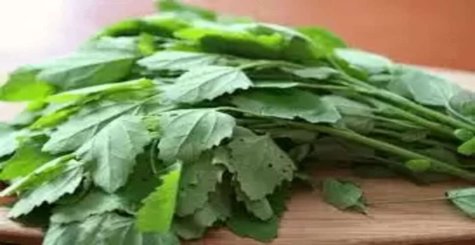 बथुआ: स्वास्थ्य के लिए अद्भुत औषधि और इसके फायदे