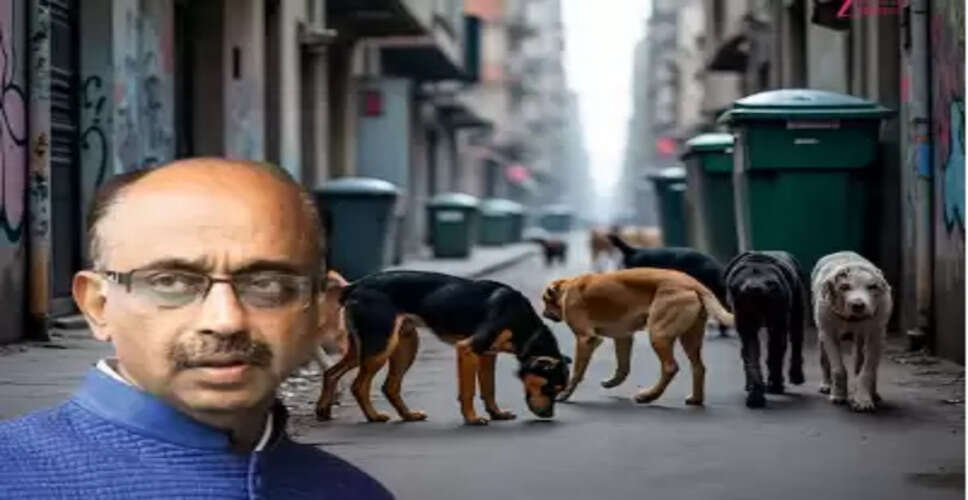 दिल्ली में आवारा कुत्तों के मुद्दे पर विजय गोयल का बड़ा बयान