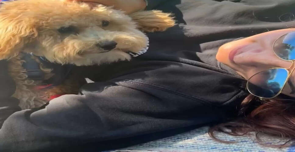 ट्विंकल खन्ना का 52वां जन्मदिन: एक्ट्रेस से लेखिका तक का सफर