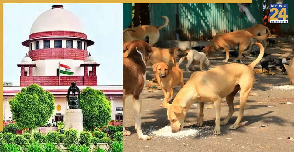 सुप्रीम कोर्ट का फैसला: दिल्ली-एनसीआर में आवारा कुत्तों की समस्या पर महत्वपूर्ण निर्णय