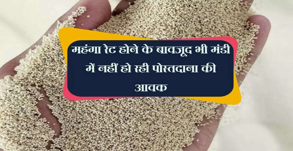 राजस्थान के प्रतापगढ़ में अफीम की खेती और व्यापार की चुनौतियाँ