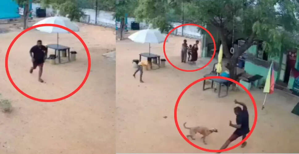तमिलनाडु में आवारा कुत्ते का हमला: 8 वर्षीय लड़का और पिता घायल