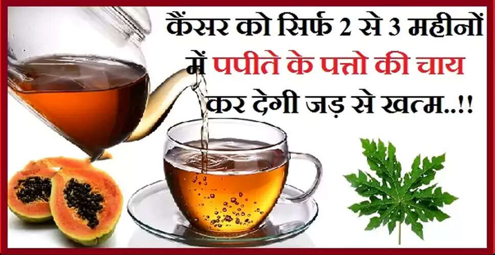 पपीते की पत्तियों की चाय: कैंसर के खिलाफ एक प्रभावी उपाय