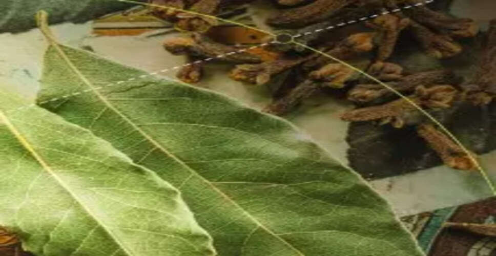 WHO के वैश्विक पारंपरिक चिकित्सा शिखर सम्मेलन में आयुष एक्सपो का आयोजन