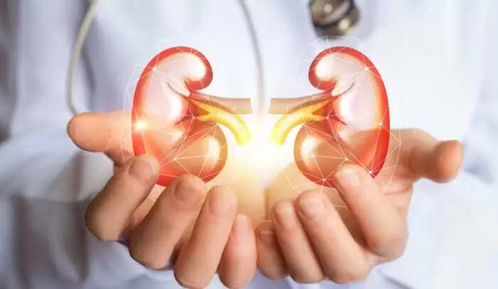 हाई प्रोटीन डाइट के संभावित नुकसान: जानें क्या हो सकता है आपके स्वास्थ्य पर असर