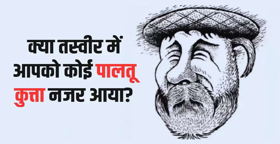 क्या आप छिपे कुत्ते को ढूंढ सकते हैं? यह ऑप्टिकल इल्यूजन आपको चुनौती देगा