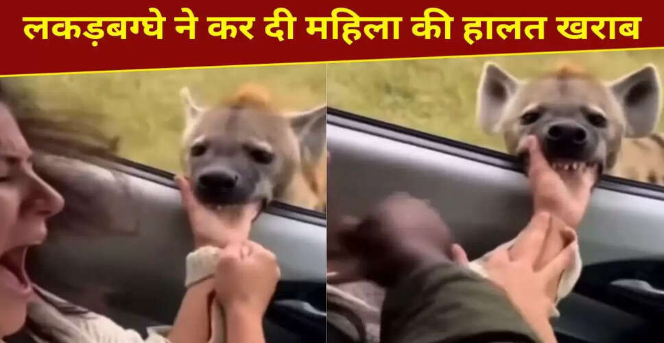 लकड़बग्घे के हमले का खौफनाक वीडियो हुआ वायरल