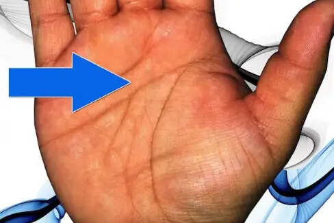 हस्तरेखा शास्त्र: भाग्य रेखाओं के रहस्यों का अनावरण