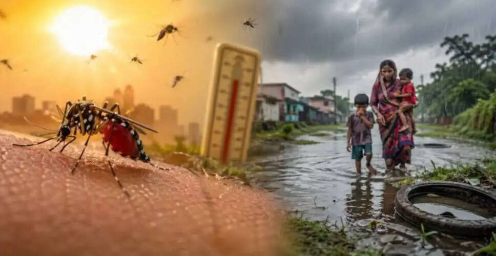 मलेरिया: अब एक साल भर का स्वास्थ्य खतरा