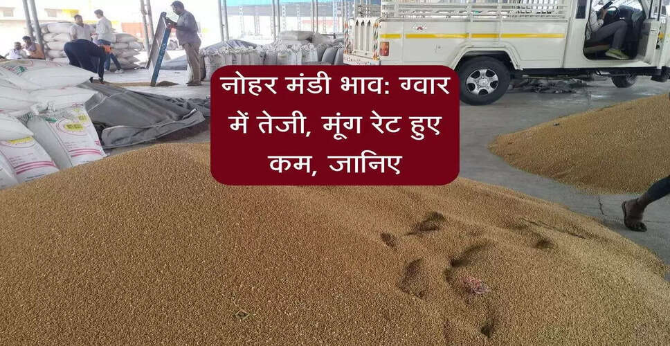 नोहर मंडी में सरसों के भाव में वृद्धि, जौ की कीमत स्थिर