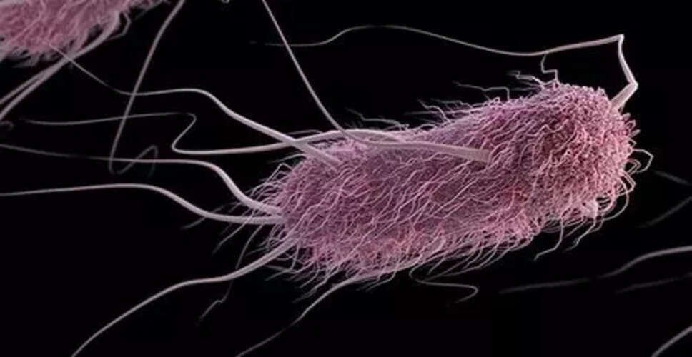 पोर्टेबल DNA अनुक्रमण उपकरण से एंटीबायोटिक प्रतिरोध का पता लगाने में मदद
