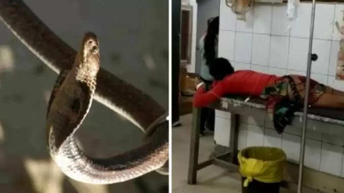 हरदोई में युवक के पेट में सांप घुसने की अफवाह, डॉक्टरों ने किया खुलासा