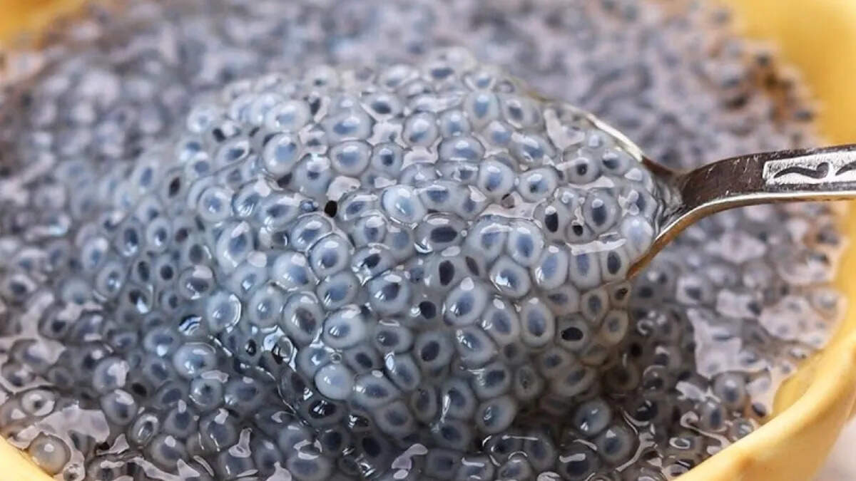 सब्जा के बीज: स्वास्थ्य के लिए अद्भुत लाभ और सेवन के तरीके