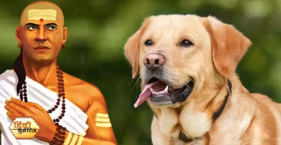 आचार्य चाणक्य की नीतियों से सीखें कुत्ते के गुण
