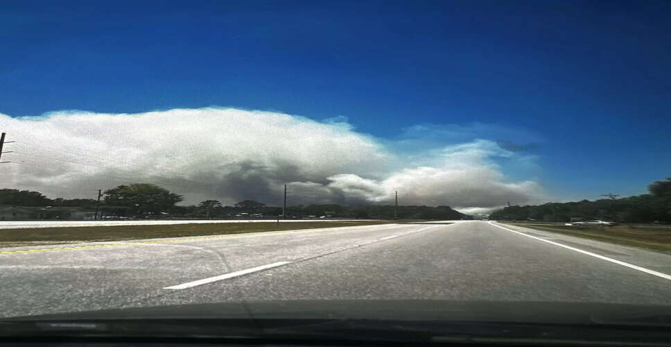 अमेरिका के दक्षिण-पूर्वी हिस्से में जंगल की आग से तबाही