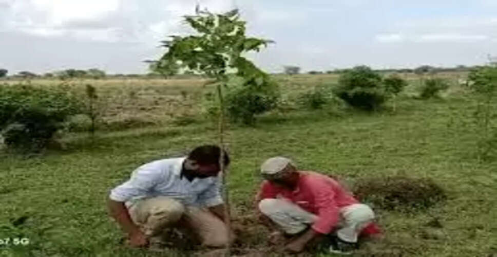चंदन की खेती: दीर्घकालिक निवेश से करोड़ों की कमाई