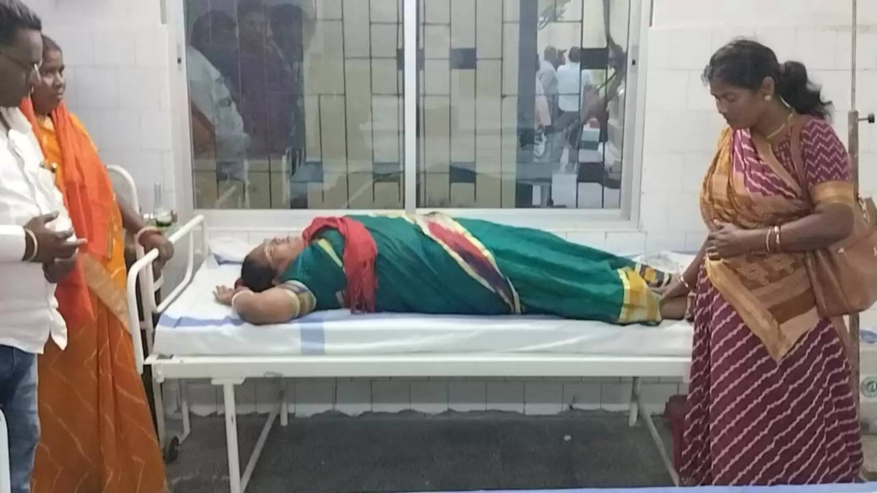 बिहार में ज्योति मांझी पर पत्थरबाजी का वीडियो वायरल, चुनावी माहौल गरमाया