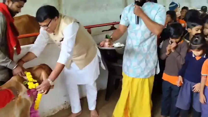 गोपाष्टमी महोत्सव: श्रद्धा और भक्ति का अद्भुत संगम