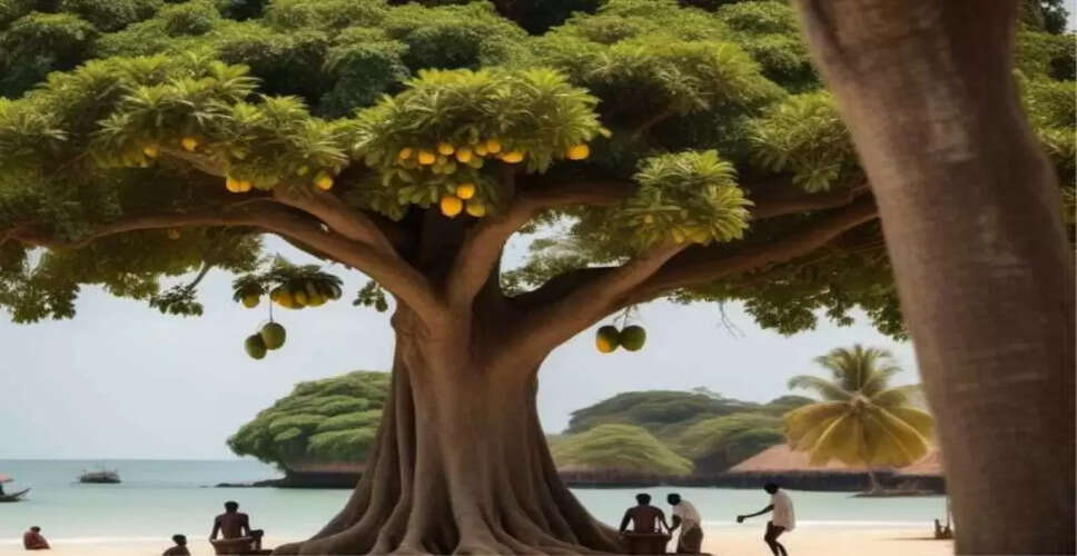 दिलचस्प GK क्विज: क्या आप इन सवालों के जवाब जानते हैं?