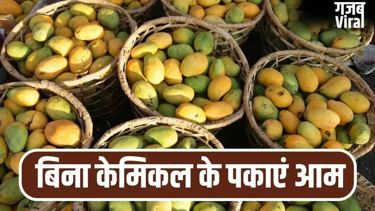 बिना केमिकल के घर पर आम पकाने के 5 पारंपरिक तरीके