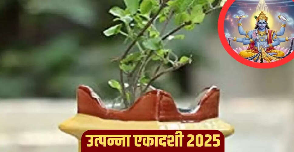 उत्पन्ना एकादशी 2025: तुलसी से जुड़ी महत्वपूर्ण बातें जानें