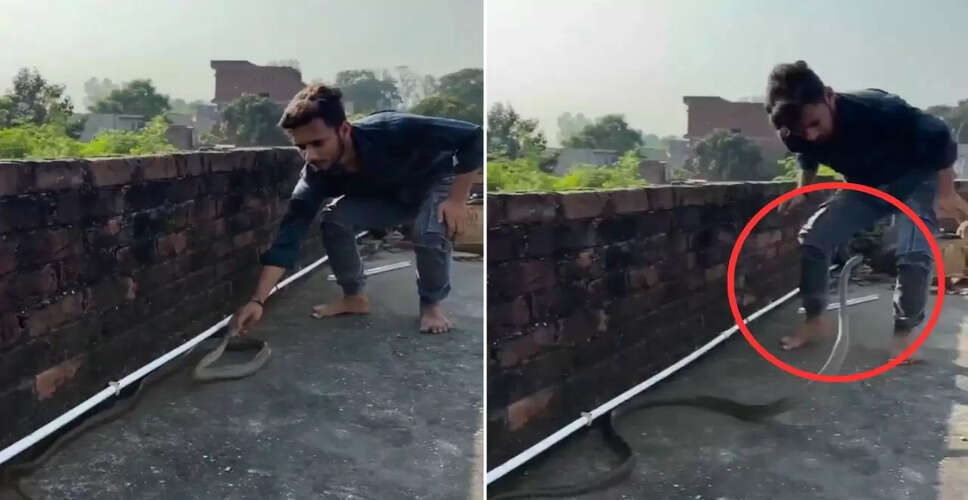 सांप के हमले का वायरल वीडियो: लड़के की जान बची