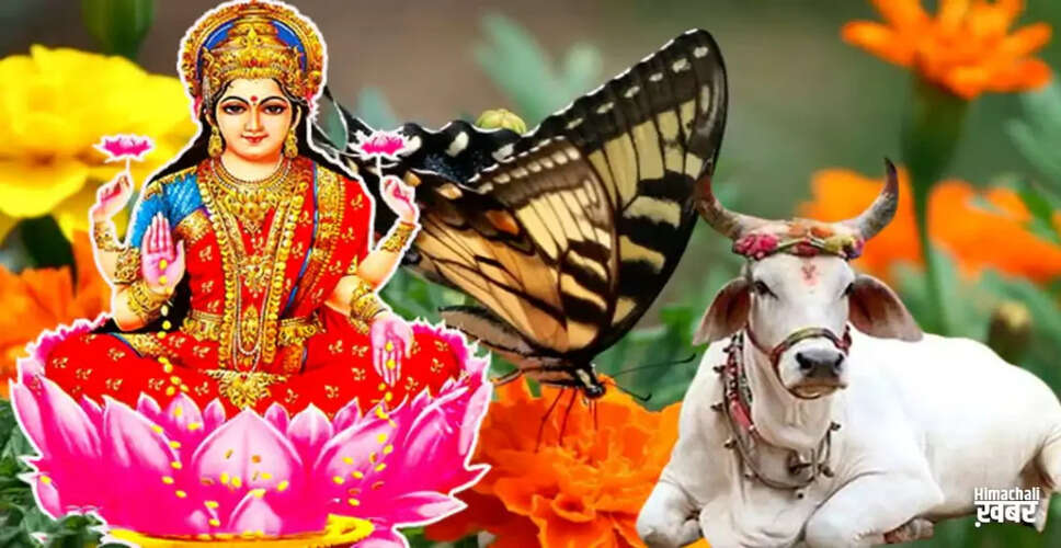 अच्छे समय के संकेत: जानें कैसे पहचानें शुभ अवसर